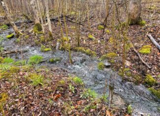 19 Acre Recreational Property – Detroit, Maine