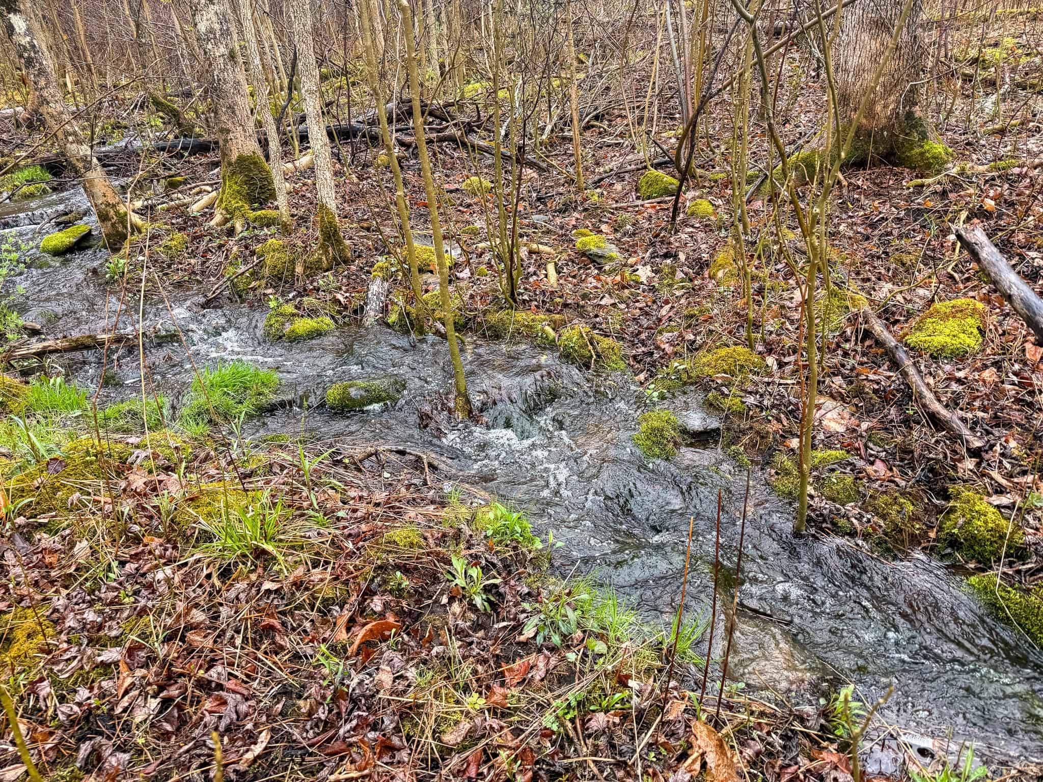 19 Acre Recreational Property – Detroit, Maine