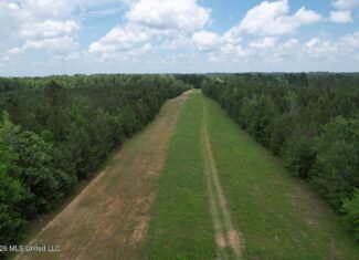 56 Acres in St. Helena Parish with Black Creek