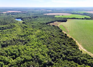 Exceptional 110 ac Hunting & Recreational Property in Shellman, GA