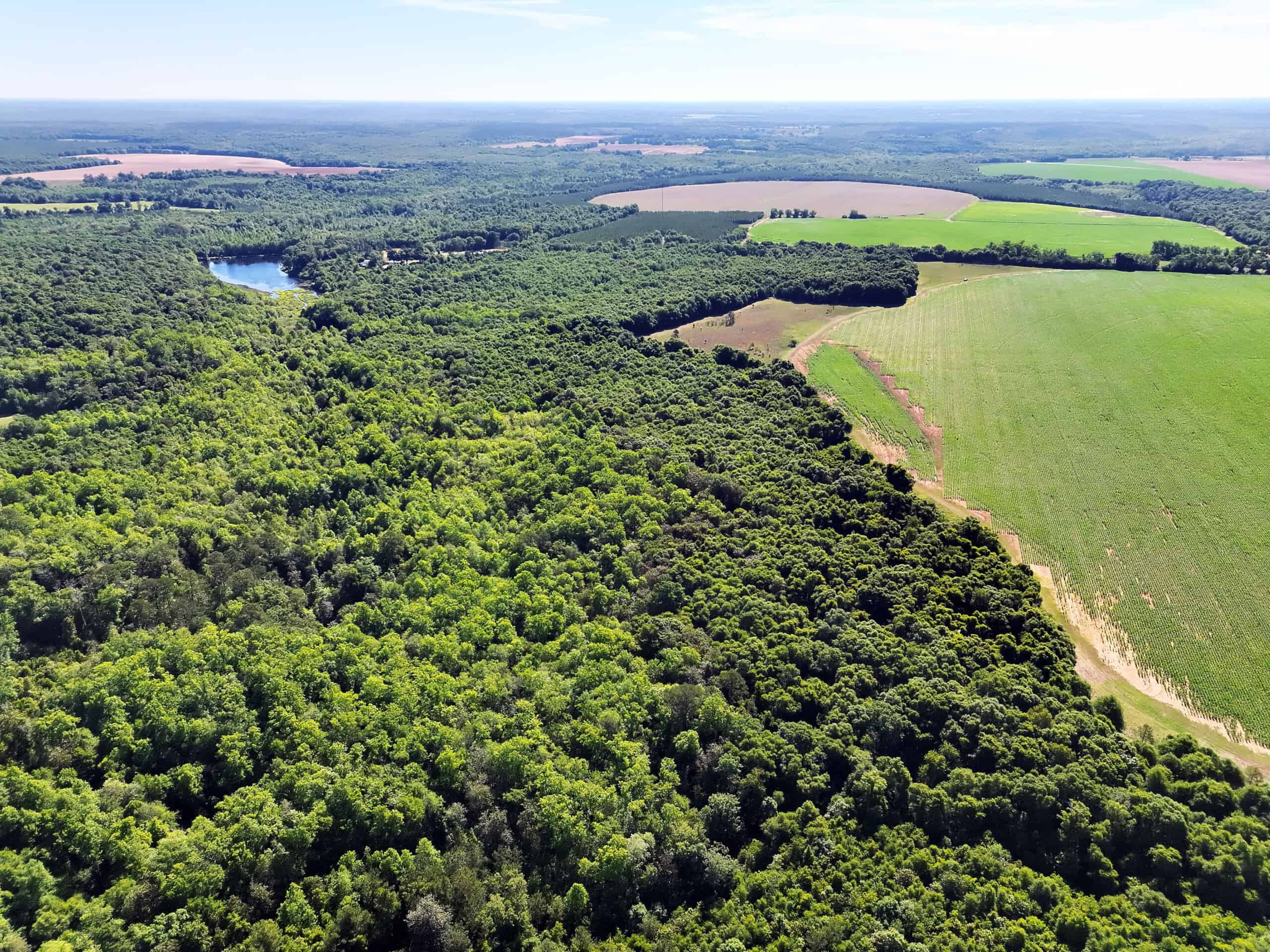 Exceptional 110 ac Hunting & Recreational Property in Shellman, GA