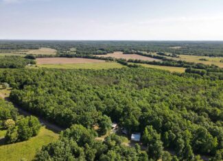 LAND FOR SALE IN TN, HOMESITE, HUNTING, FIELD, TIMBER, CREEK