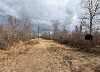 470 Acres on Calcasieu River in Allen Parish, LA