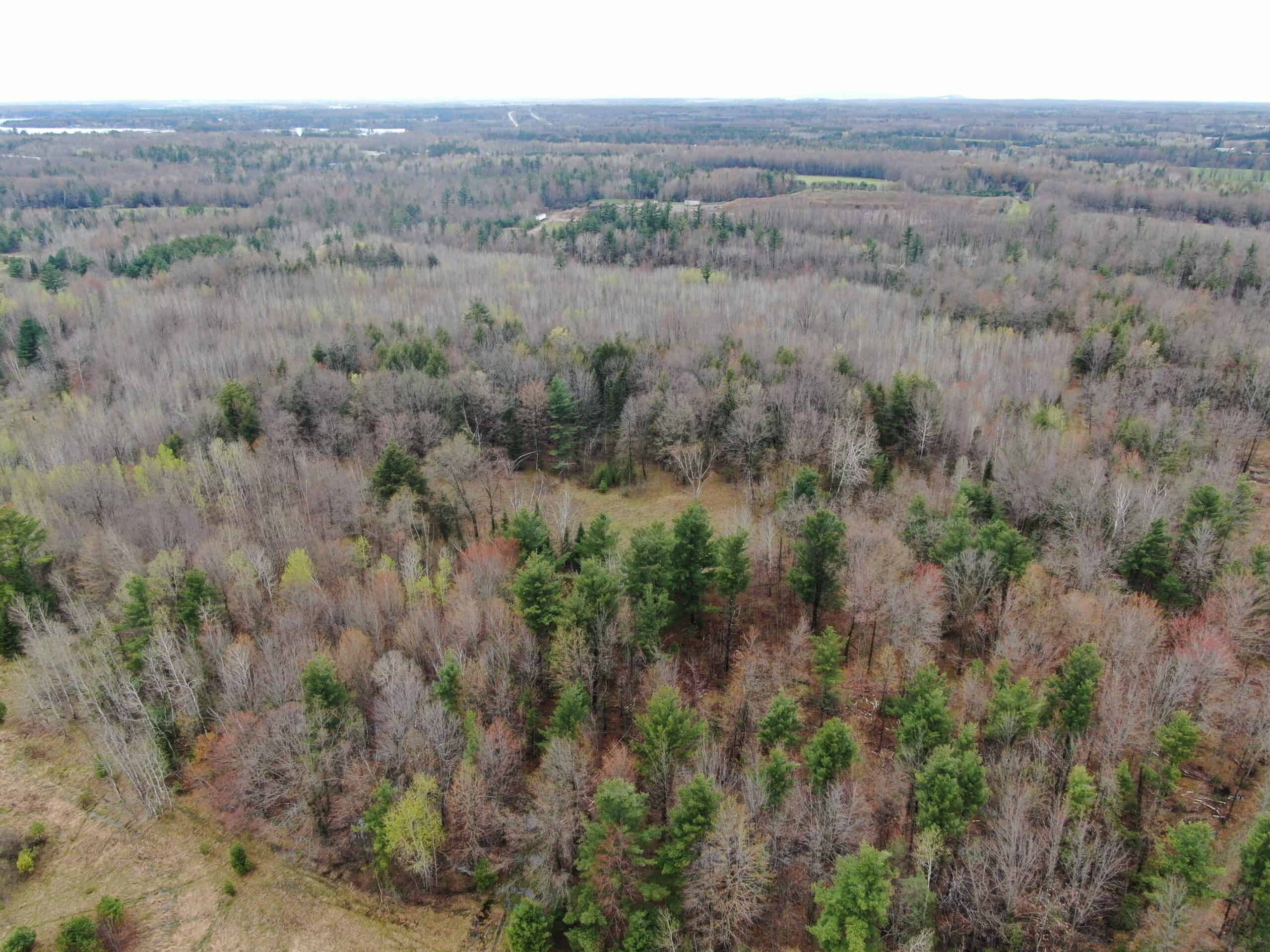 Portage County 40 Acre Hunting and Rec Property for Sale