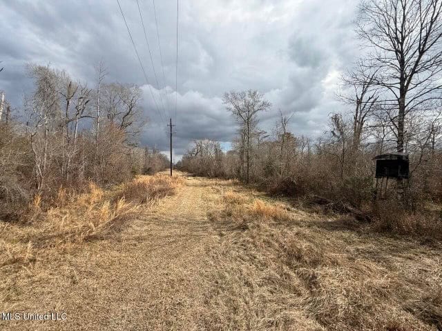 470 Acres on Calcasieu River in Allen Parish, LA
