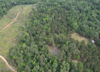 15 Acres with Pond & Homesite in Liberty, MS