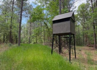 Hunting land with a Camp on Saline Lake Winn Parish LA