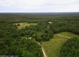 Land for Sale in Amite County, MS