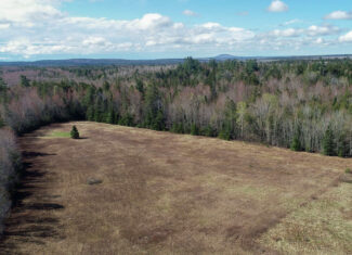 Large Land Parcel with Potential – Ellsworth, Maine