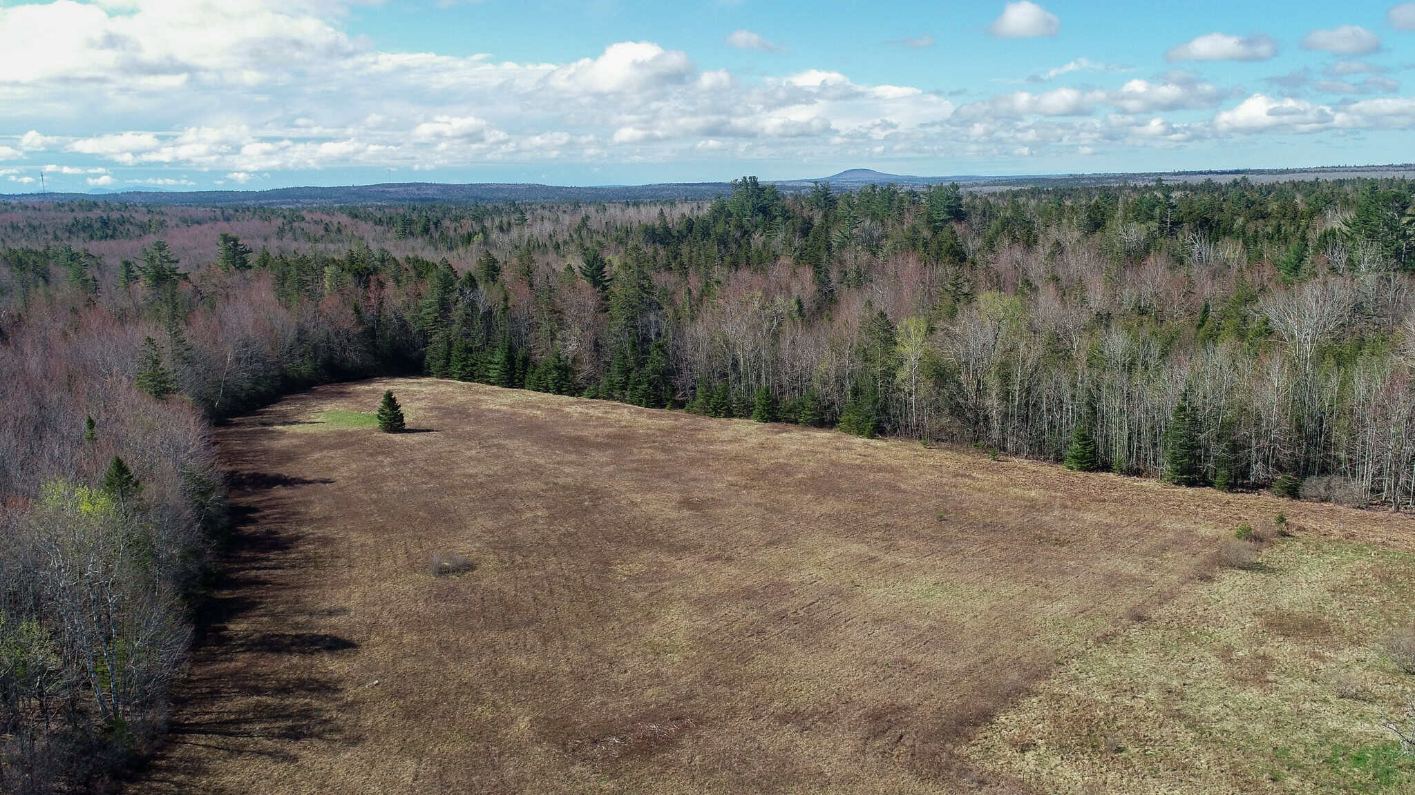 Large Land Parcel with Potential – Ellsworth, Maine