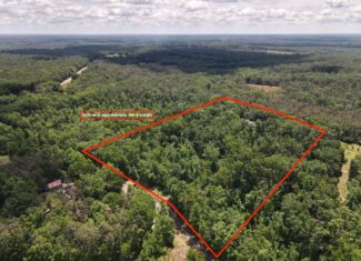 WOODED LAND, ROLLING HILLS NEAR PICKWICK LAKE