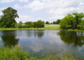 Creek County Recreational Homesite For Sale