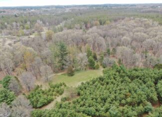 88 Acre Marquette County  WI Hunting Property For Sale
