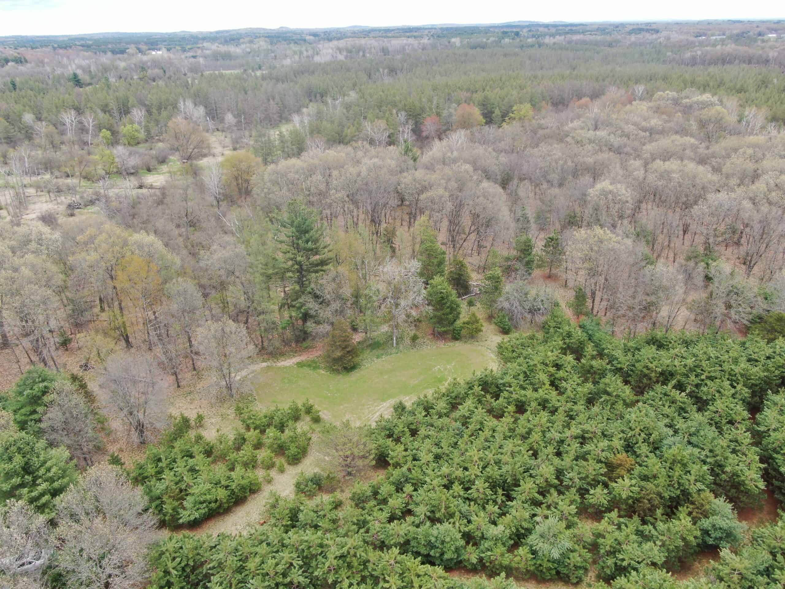 88 Acre Marquette County  WI Hunting Property For Sale