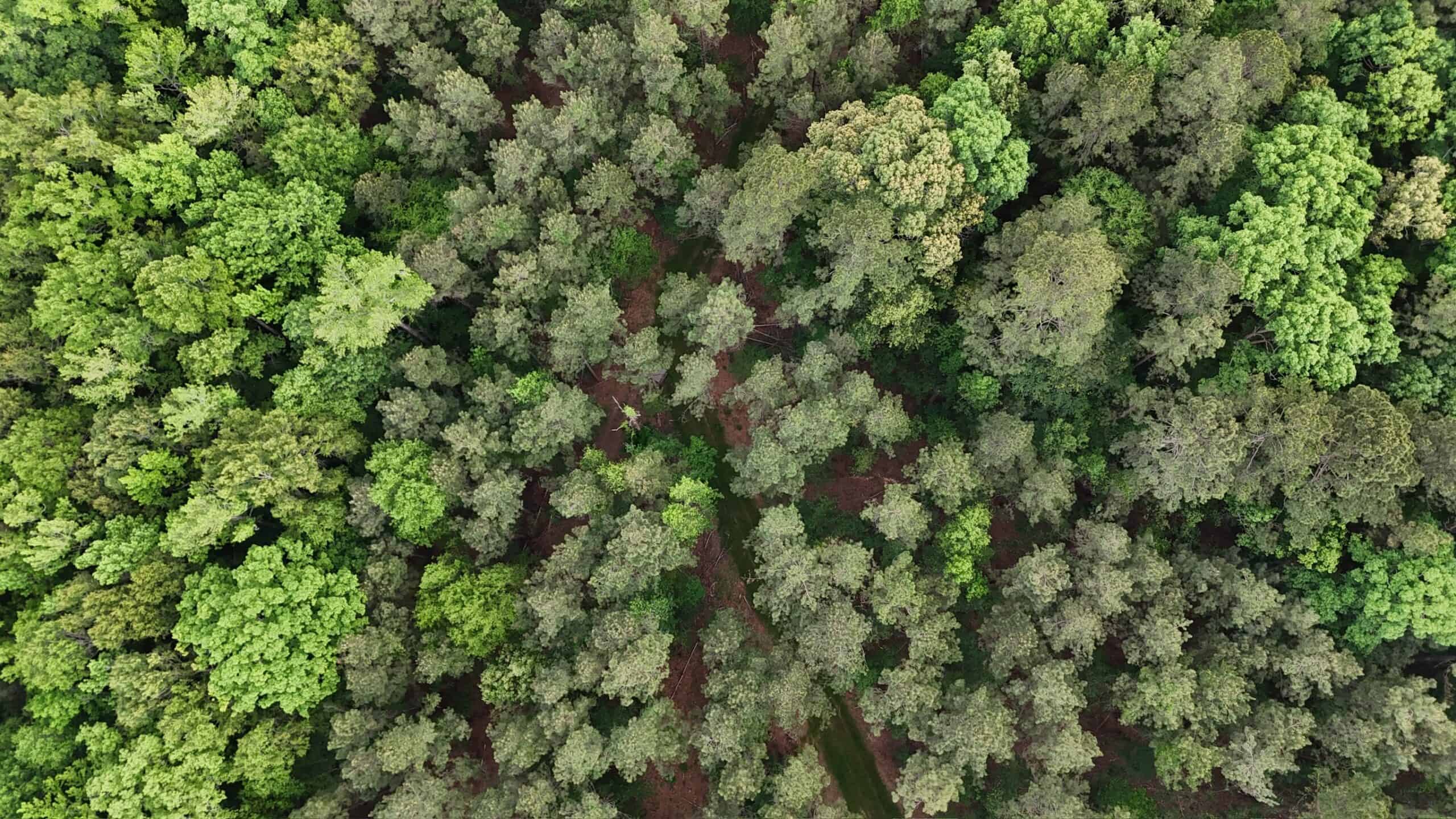 Saline Lake Hunting Property and Lodge Winn Parish LA