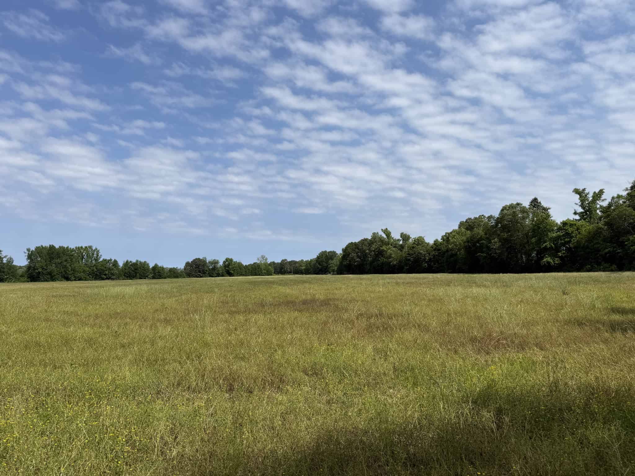 LAND FOR SALE IN TN, HOMESITE, HUNTING, FIELD, TIMBER, CREEK