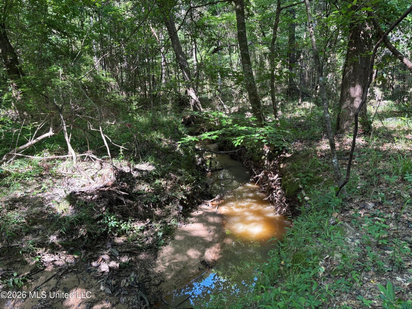 200 acres Franklin County MS Hunting Land Timber Investment