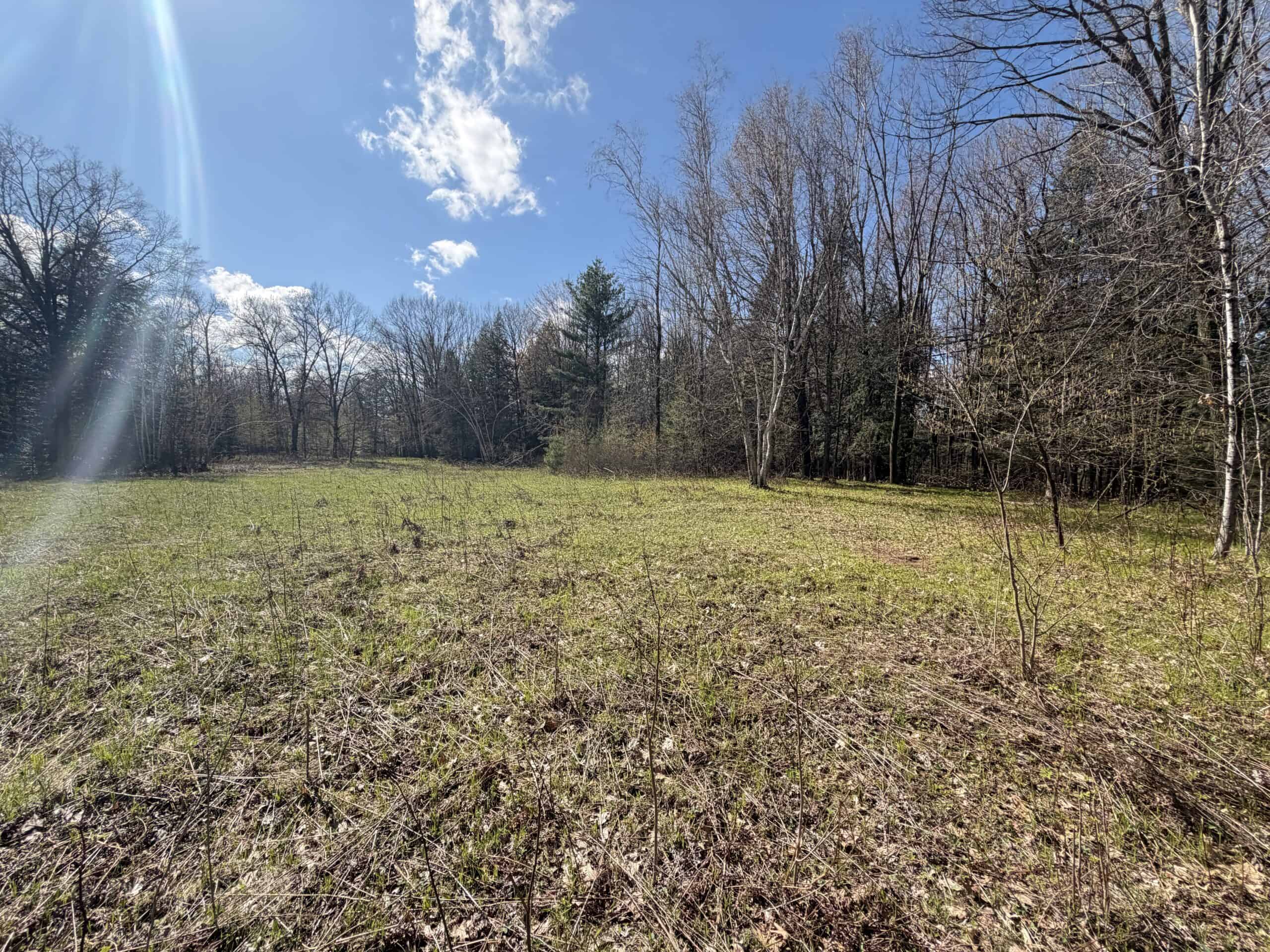 Portage County 40 Acre Hunting and Rec Property for Sale