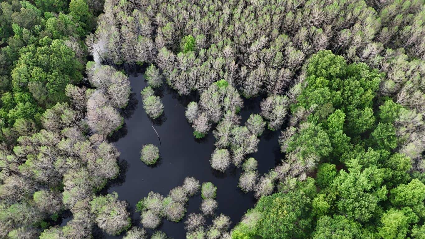Hunting land with a Camp on Saline Lake Winn Parish LA