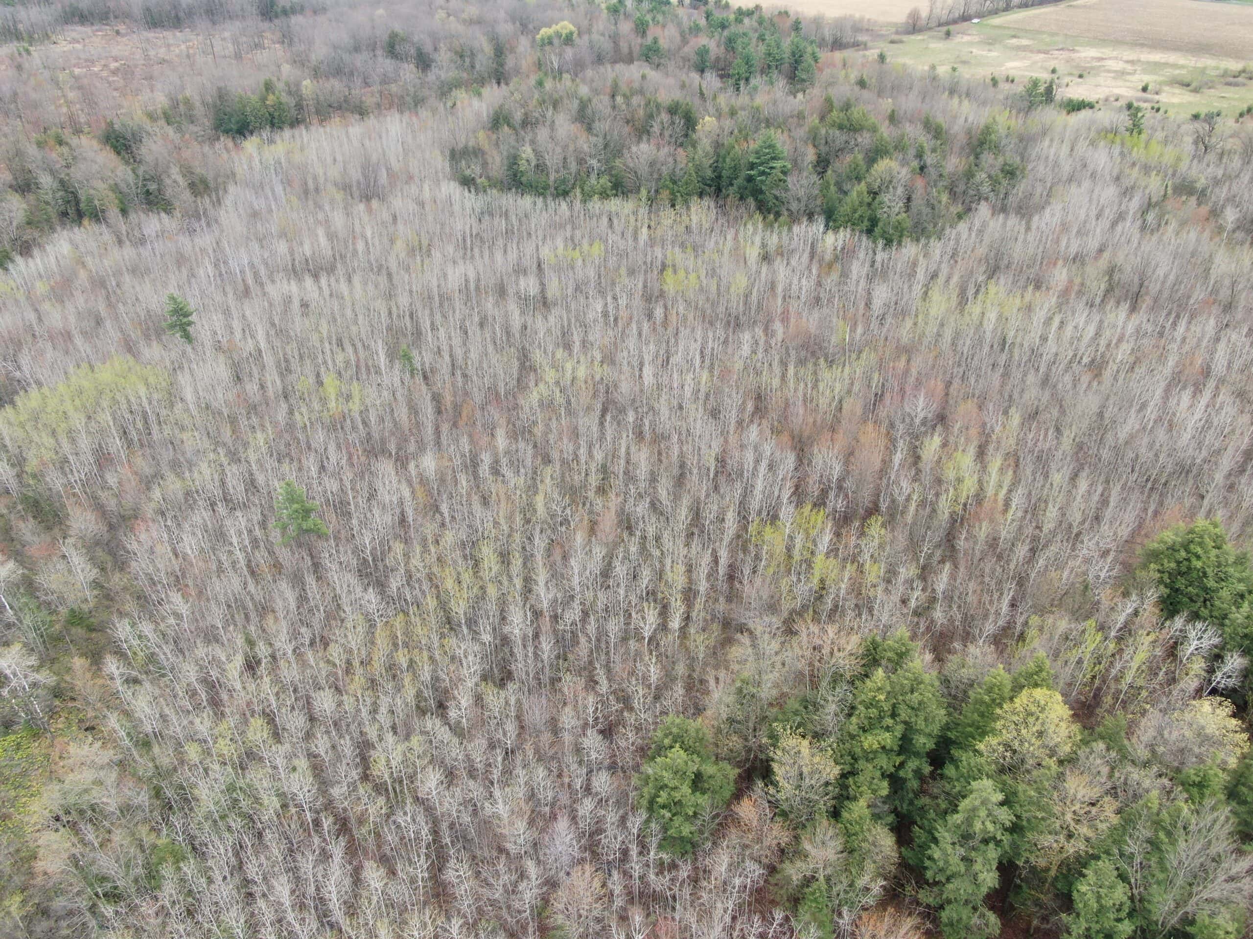 120 acres located in the Town of Dewey, Portage County, WI