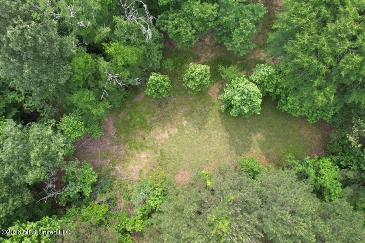 15 Acres with Pond & Homesite in Liberty, MS