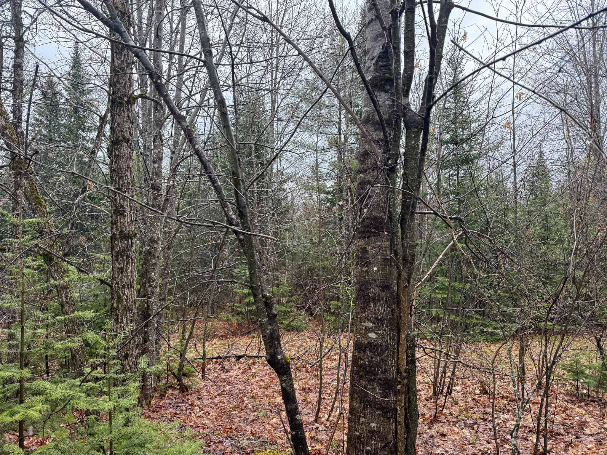 19 Acre Recreational Property – Detroit, Maine