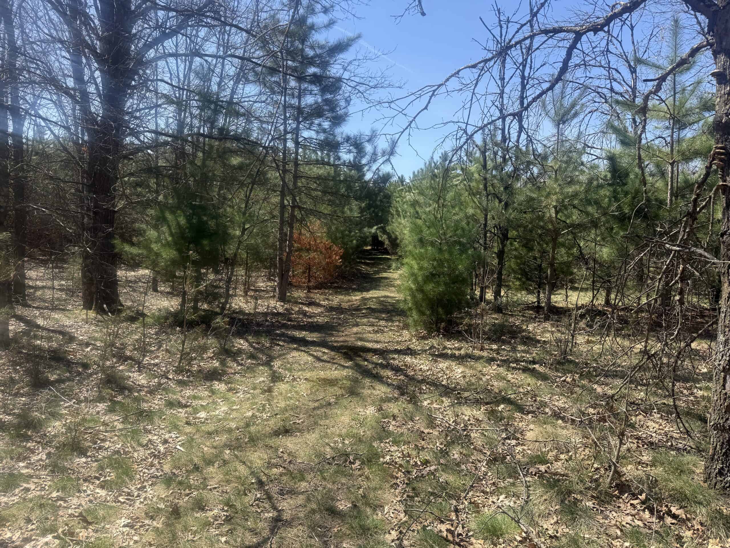 88 Acre Marquette County  WI Hunting Property For Sale