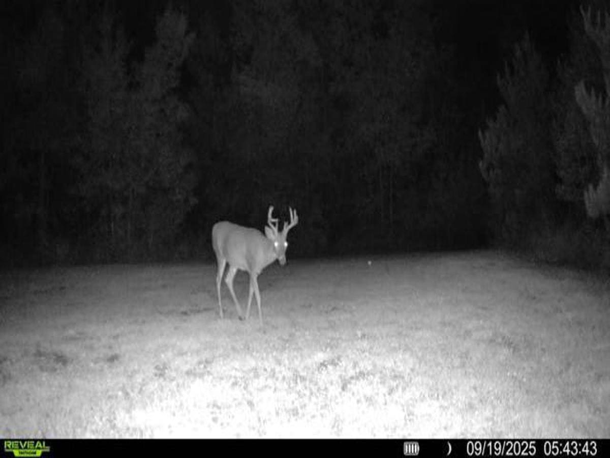 130 Acre Wisconsin Hunting Property for Sale in Marinette County WI