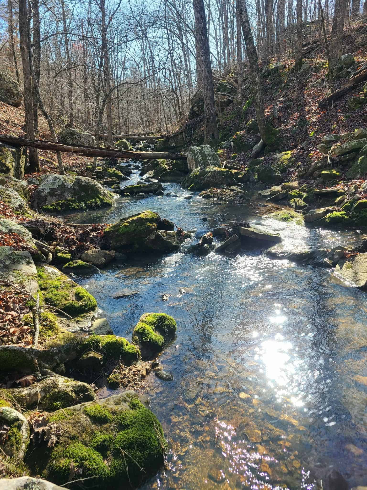 HOME AND LARGE ACREAGE FOR SALE IN NORTH CENTRAL ARKANSAS