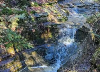 HOME AND LARGE ACREAGE FOR SALE IN NORTH CENTRAL ARKANSAS