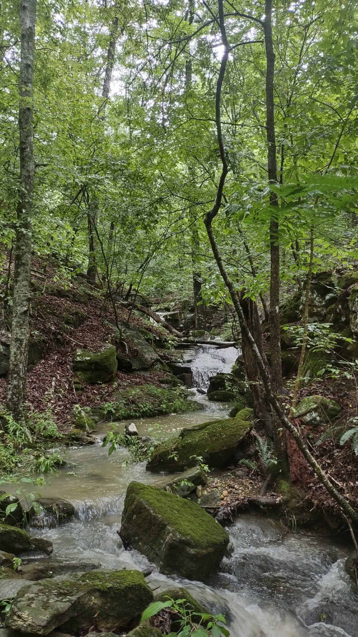 HOME AND LARGE ACREAGE FOR SALE IN NORTH CENTRAL ARKANSAS