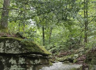 HOME AND LARGE ACREAGE FOR SALE IN NORTH CENTRAL ARKANSAS