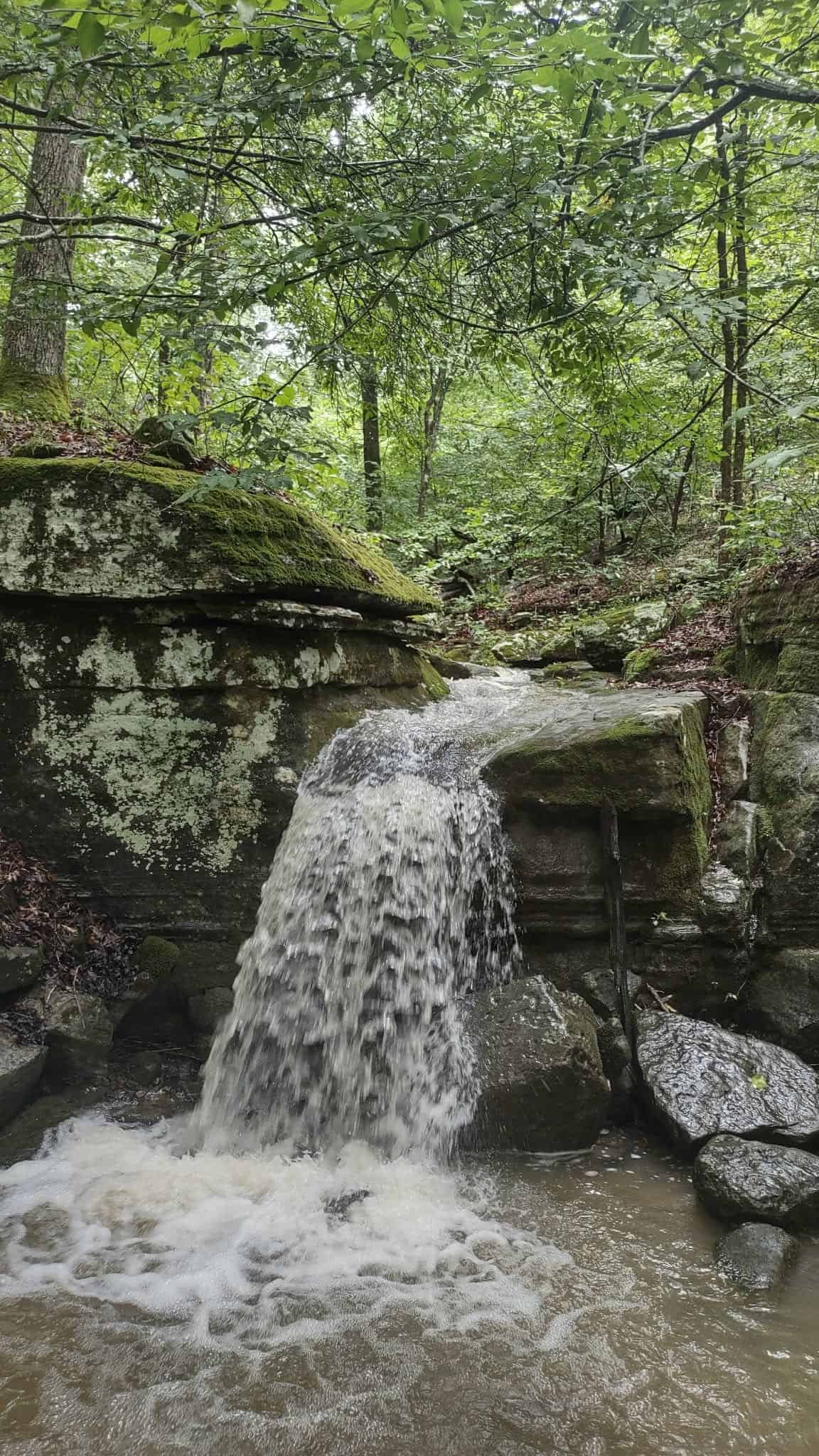 HOME AND LARGE ACREAGE FOR SALE IN NORTH CENTRAL ARKANSAS