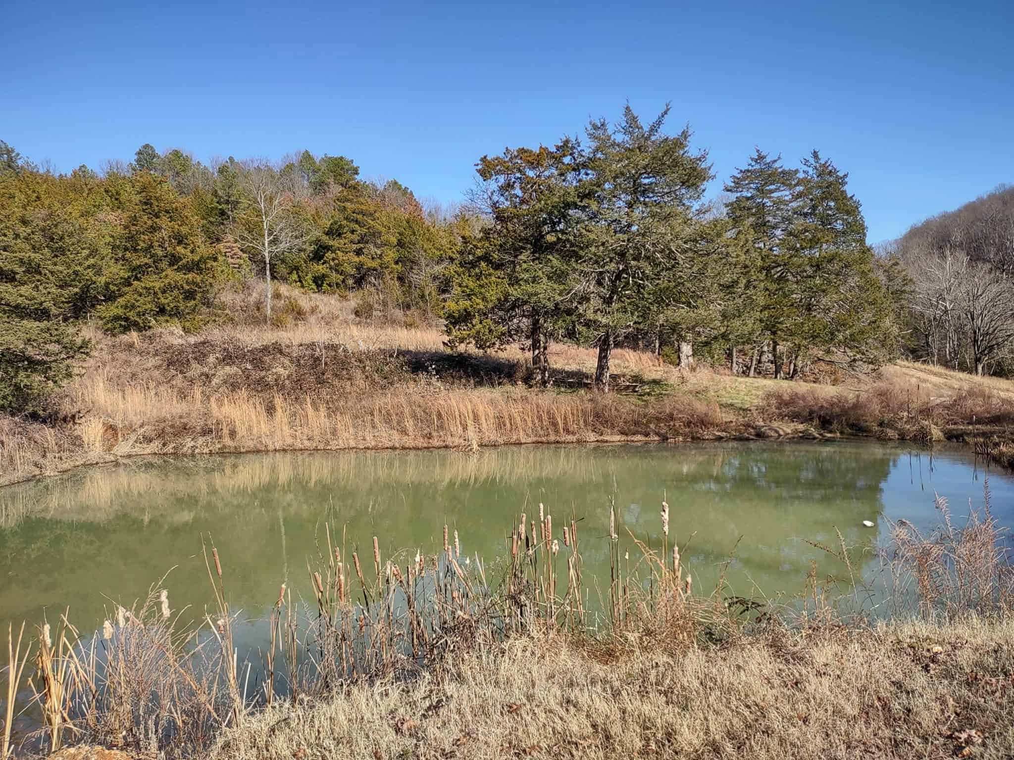 HOME AND LARGE ACREAGE FOR SALE IN NORTH CENTRAL ARKANSAS