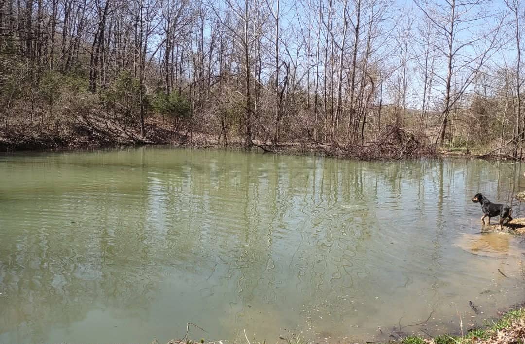 HOME AND LARGE ACREAGE FOR SALE IN NORTH CENTRAL ARKANSAS