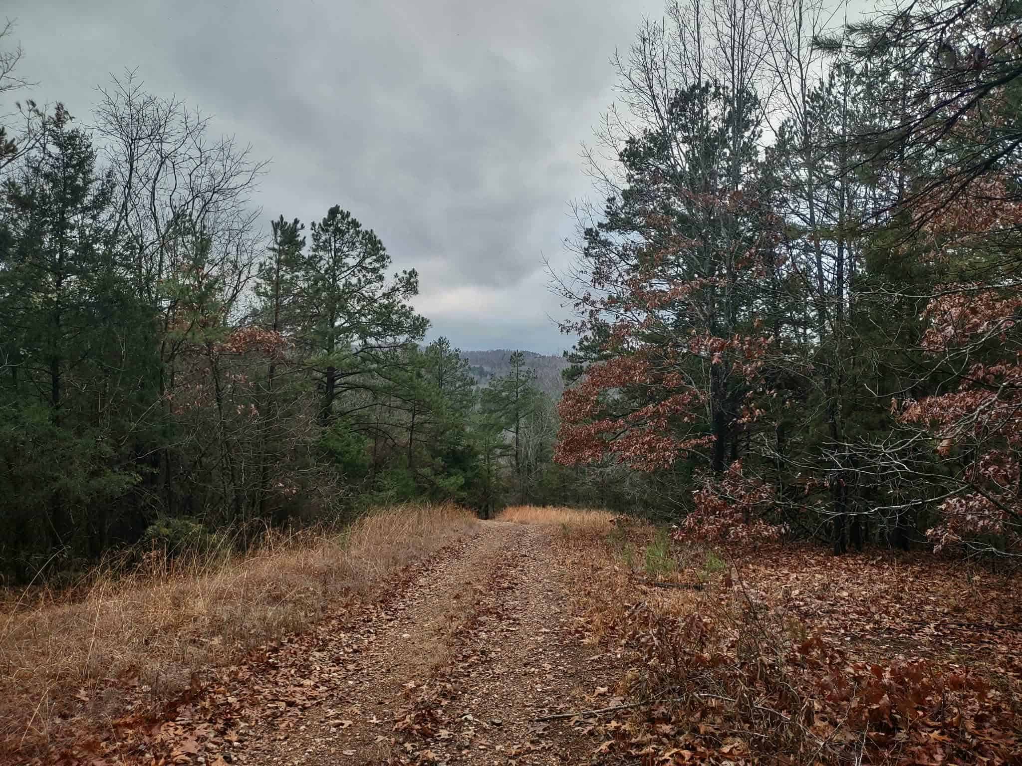 HOME AND LARGE ACREAGE FOR SALE IN NORTH CENTRAL ARKANSAS