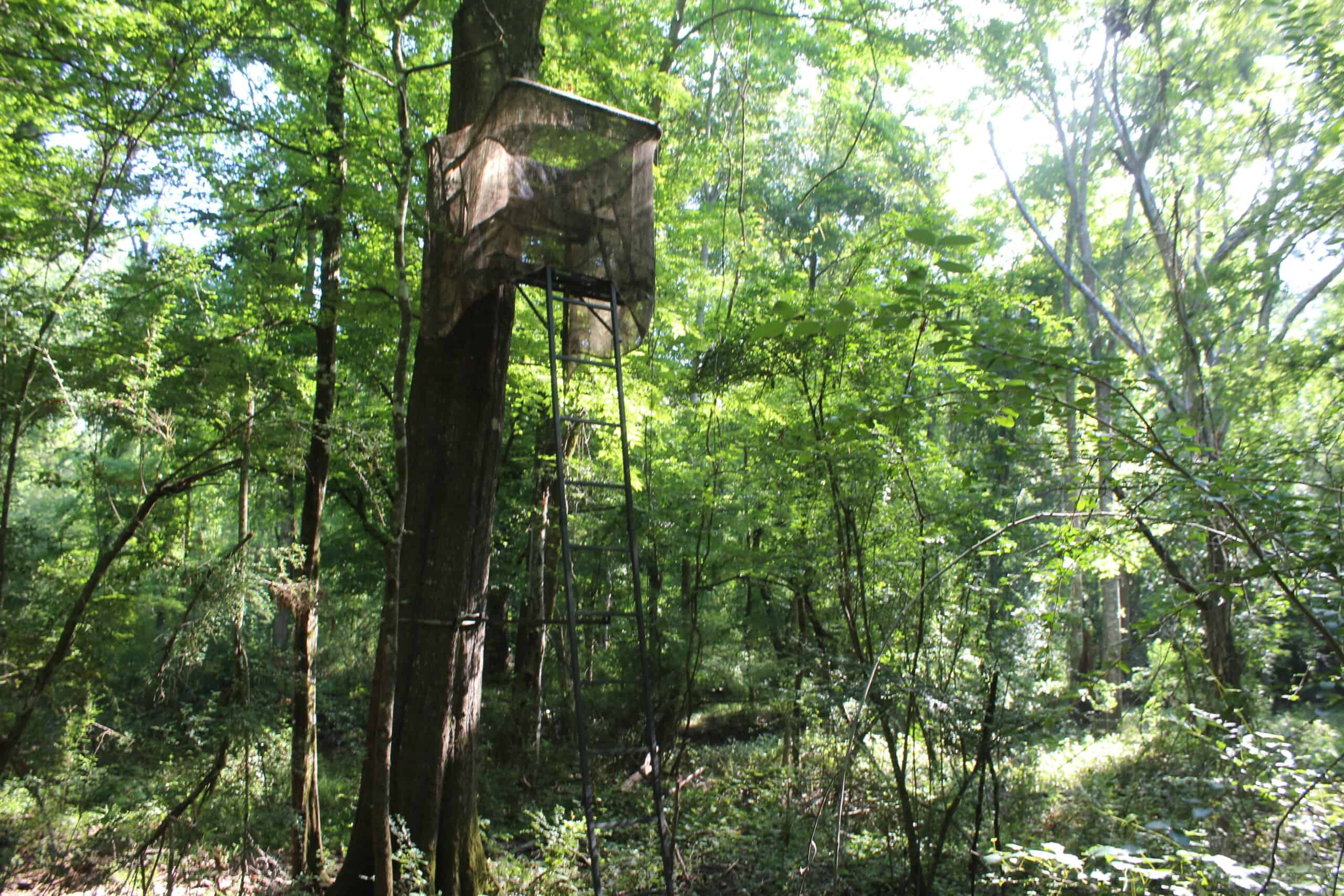 105 Acres Riverfront Property For Sale Lincoln County Mississippi