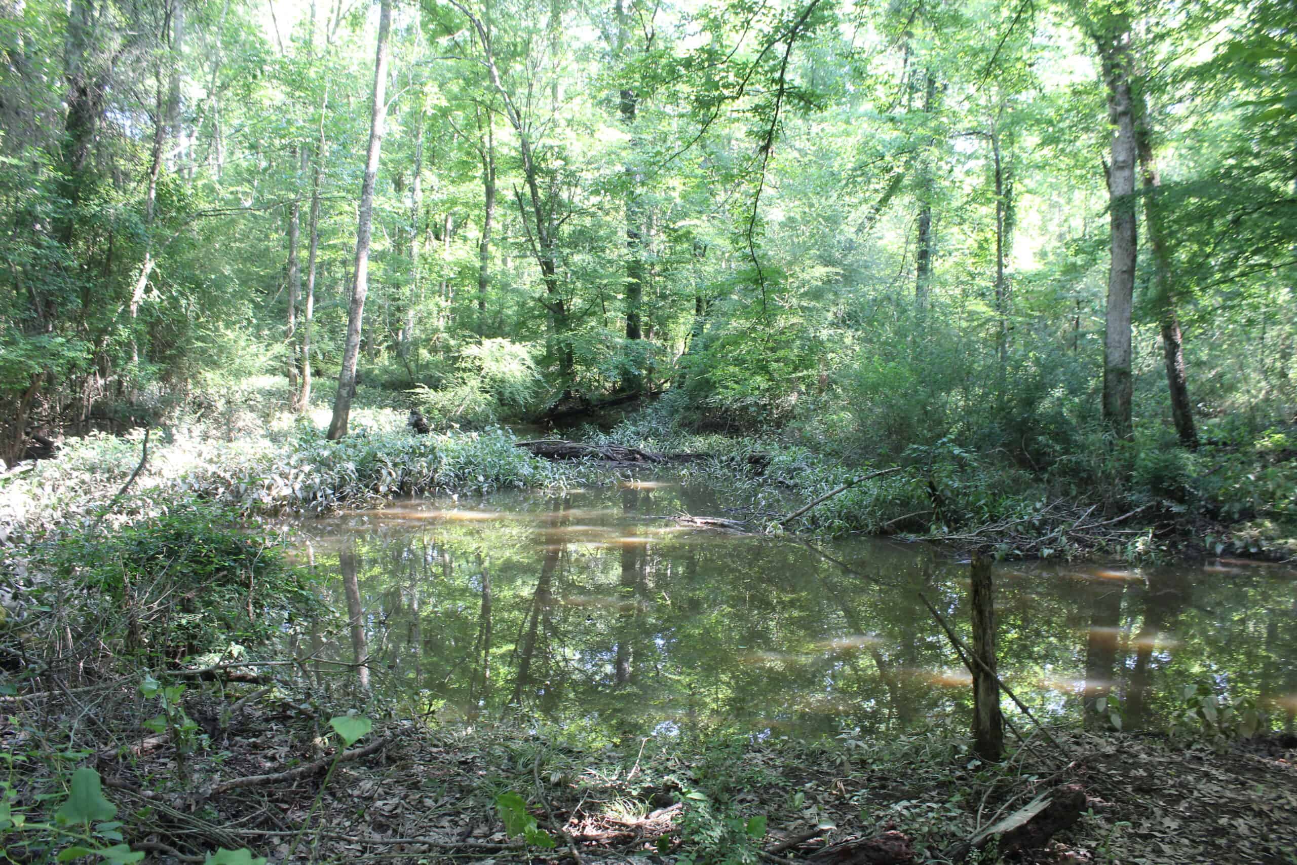 105 Acres Riverfront Property For Sale Lincoln County Mississippi
