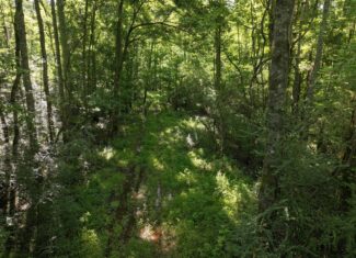 105 Acres Riverfront Property For Sale Lincoln County Mississippi