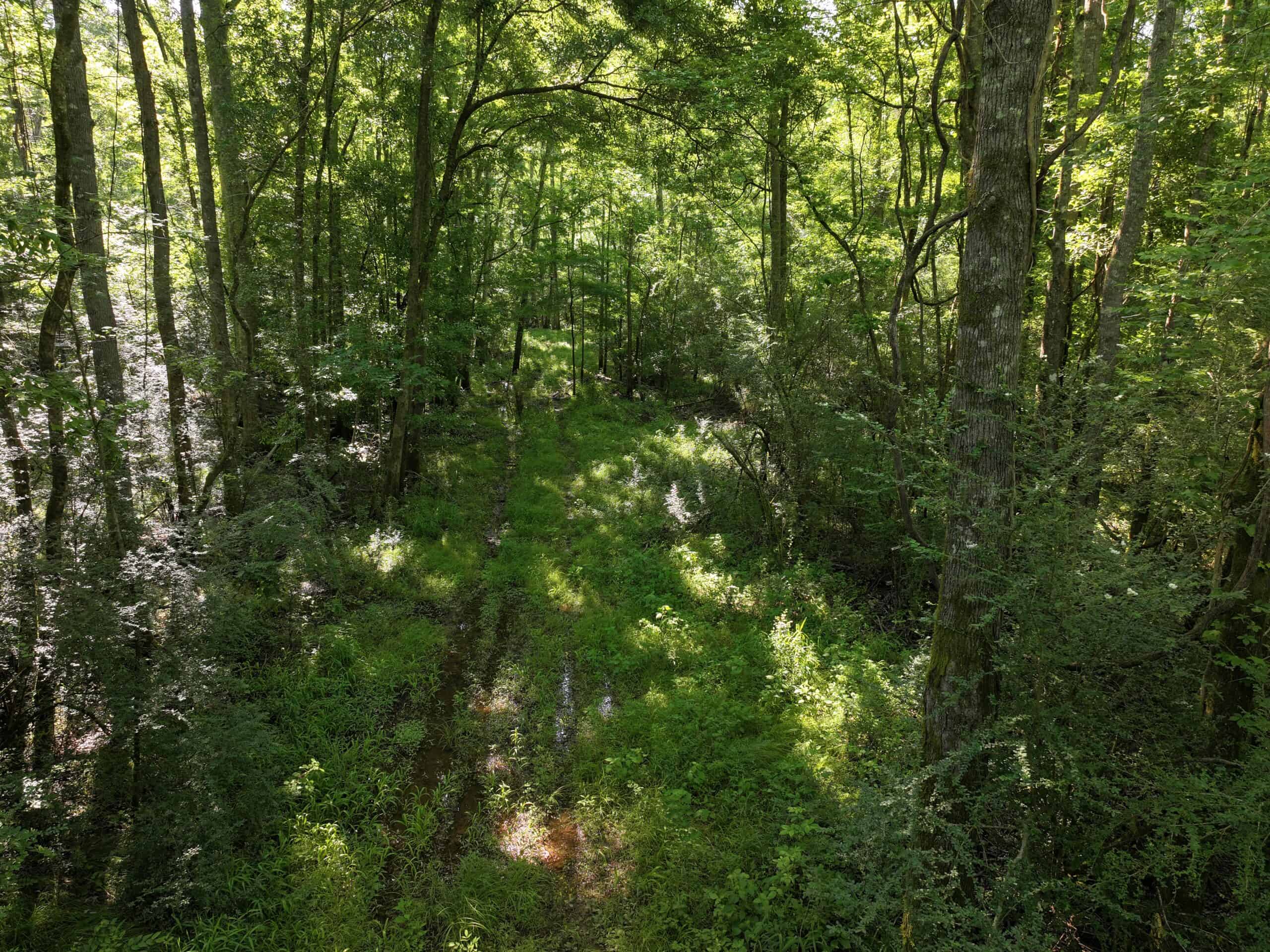 105 Acres Riverfront Property For Sale Lincoln County Mississippi