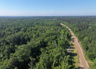 105 Acres Riverfront Property For Sale Lincoln County Mississippi