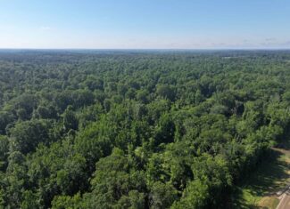 105 Acres Riverfront Property For Sale Lincoln County Mississippi
