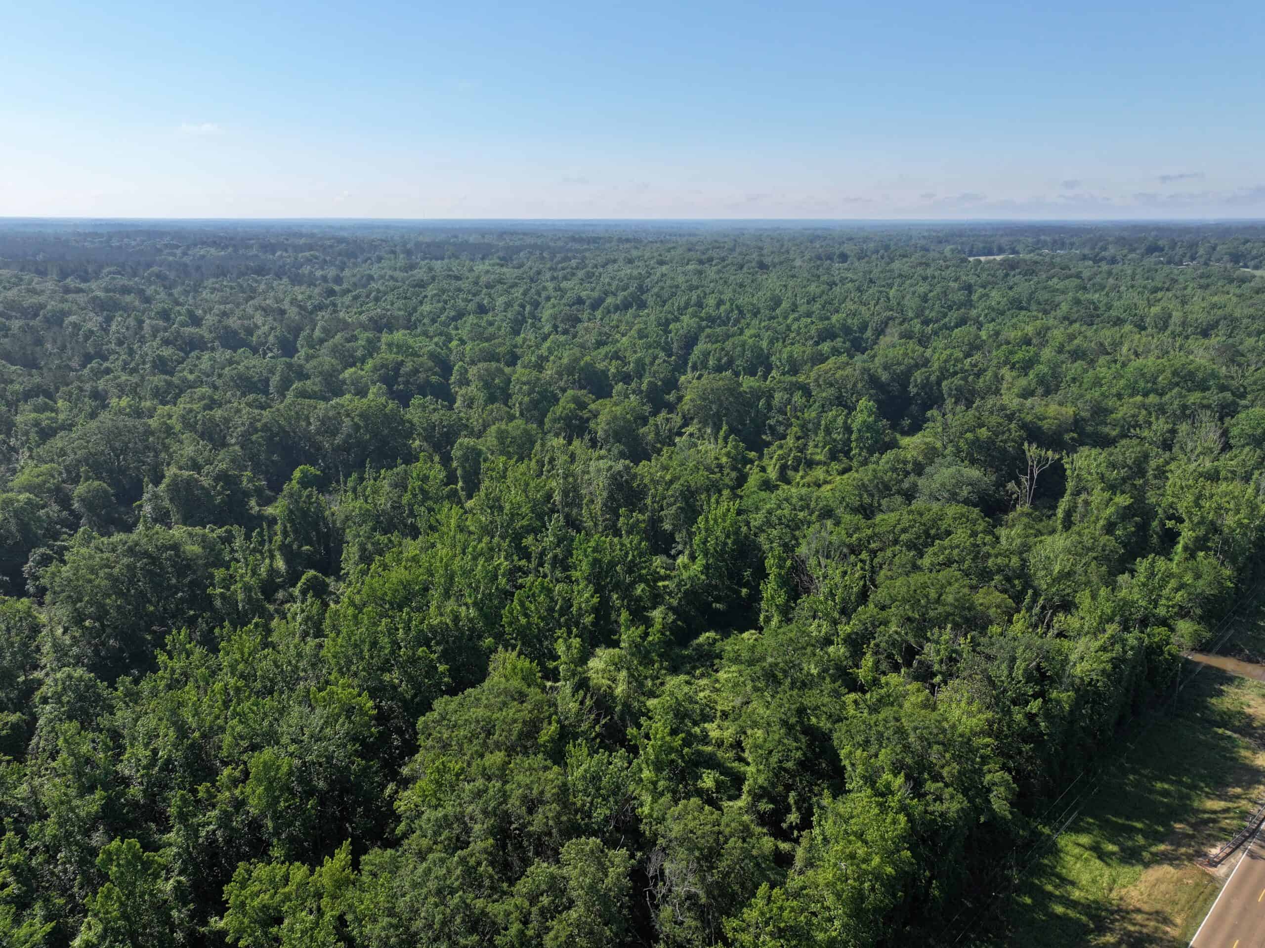 105 Acres Riverfront Property For Sale Lincoln County Mississippi