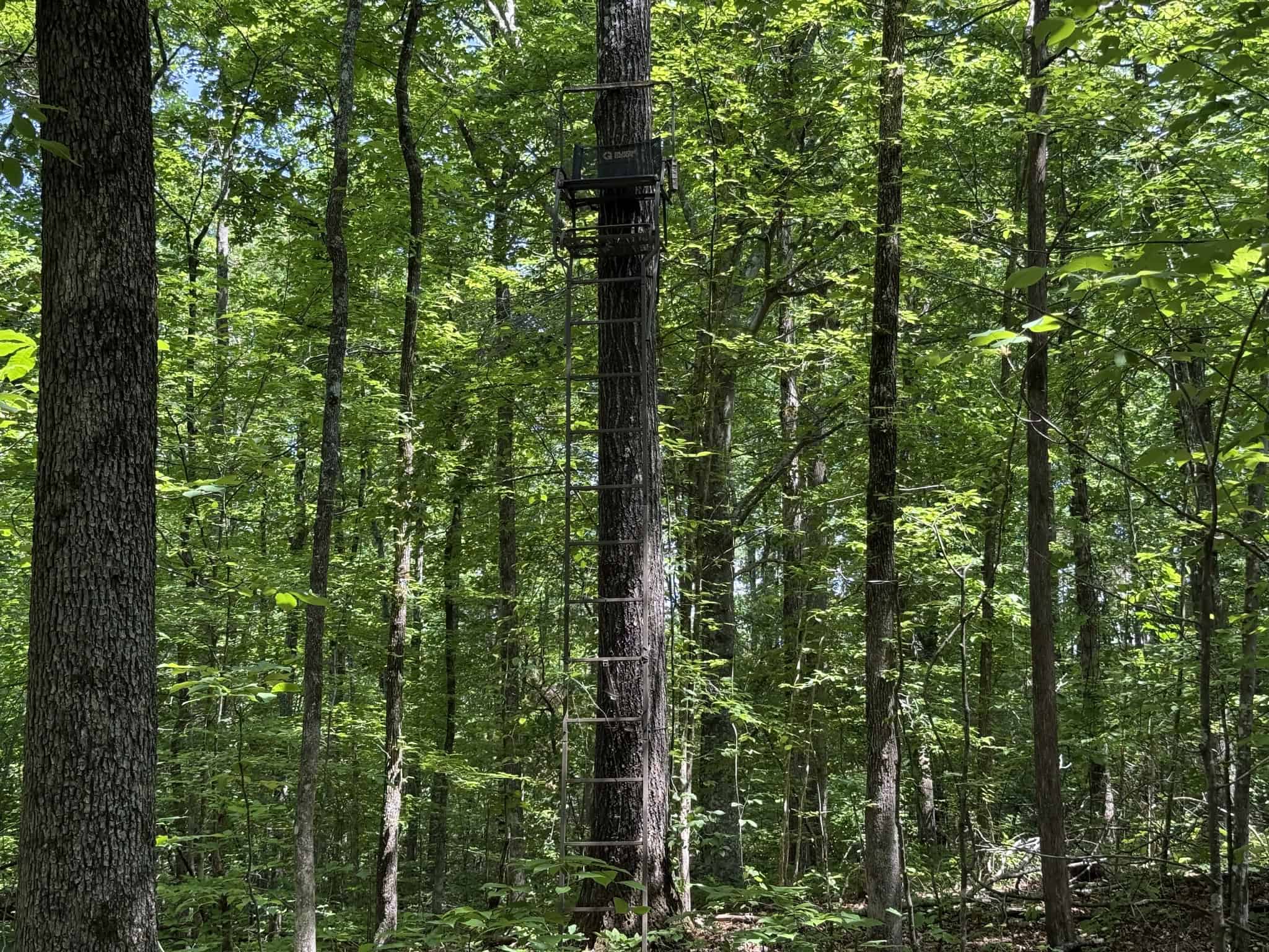 LAND FOR SALE IN TN, HOMESITE, HUNTING, FIELD, TIMBER, CREEK