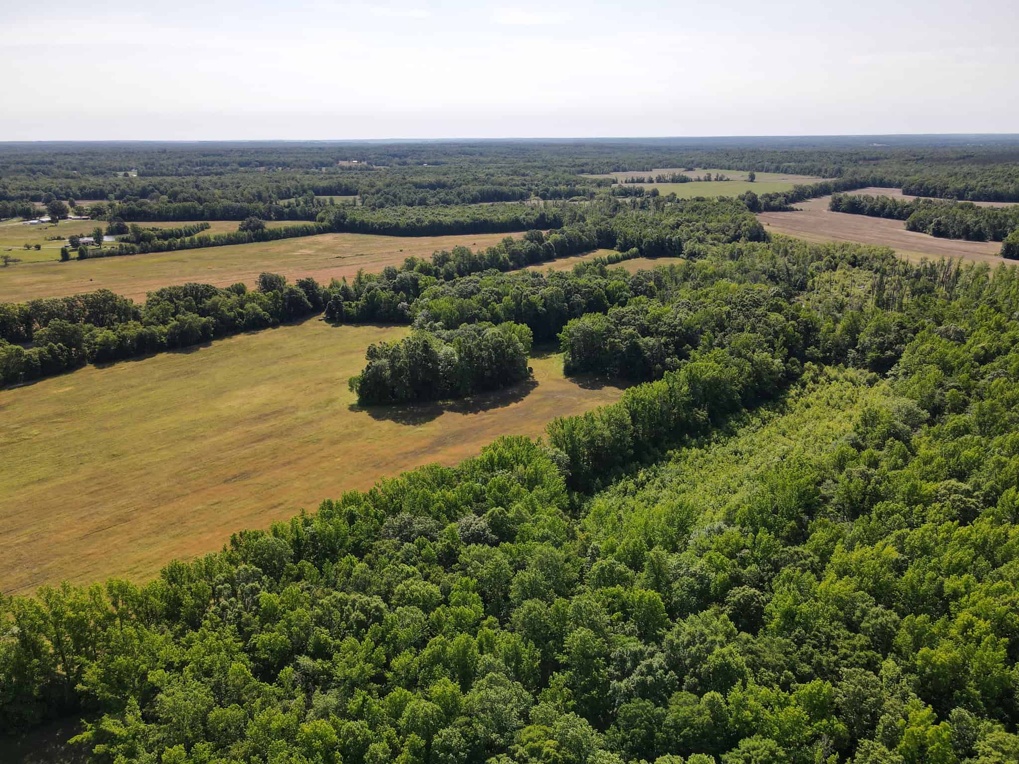 LAND FOR SALE IN TN, HOMESITE, HUNTING, FIELD, TIMBER, CREEK