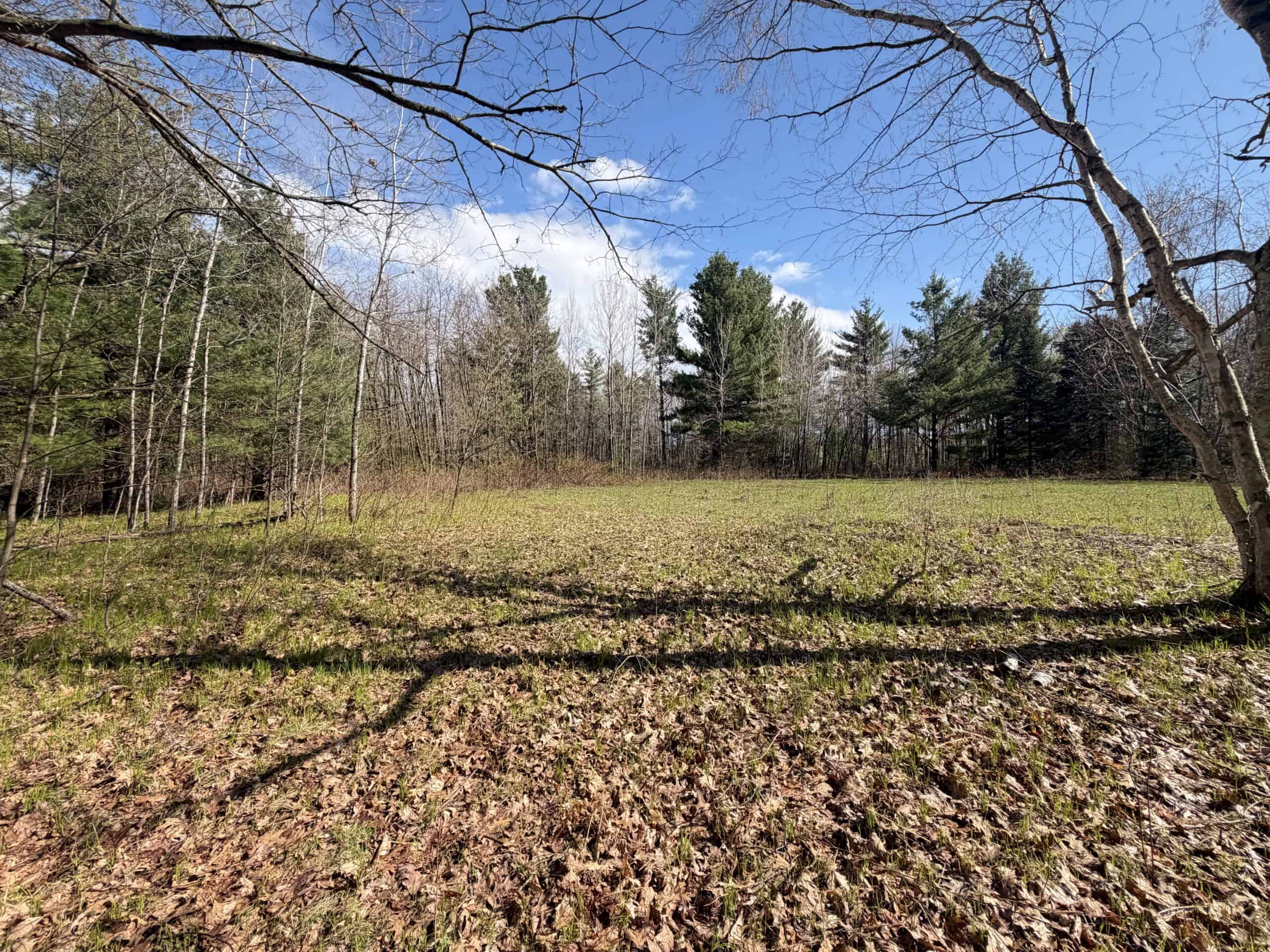 Portage County 40 Acre Hunting and Rec Property for Sale