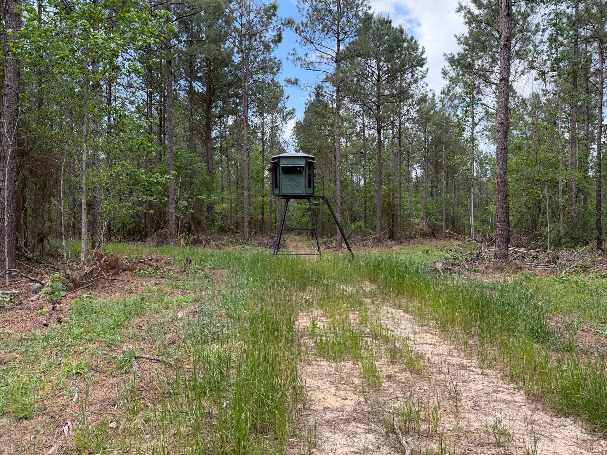 Saline Lake Hunting Property and Lodge Winn Parish LA