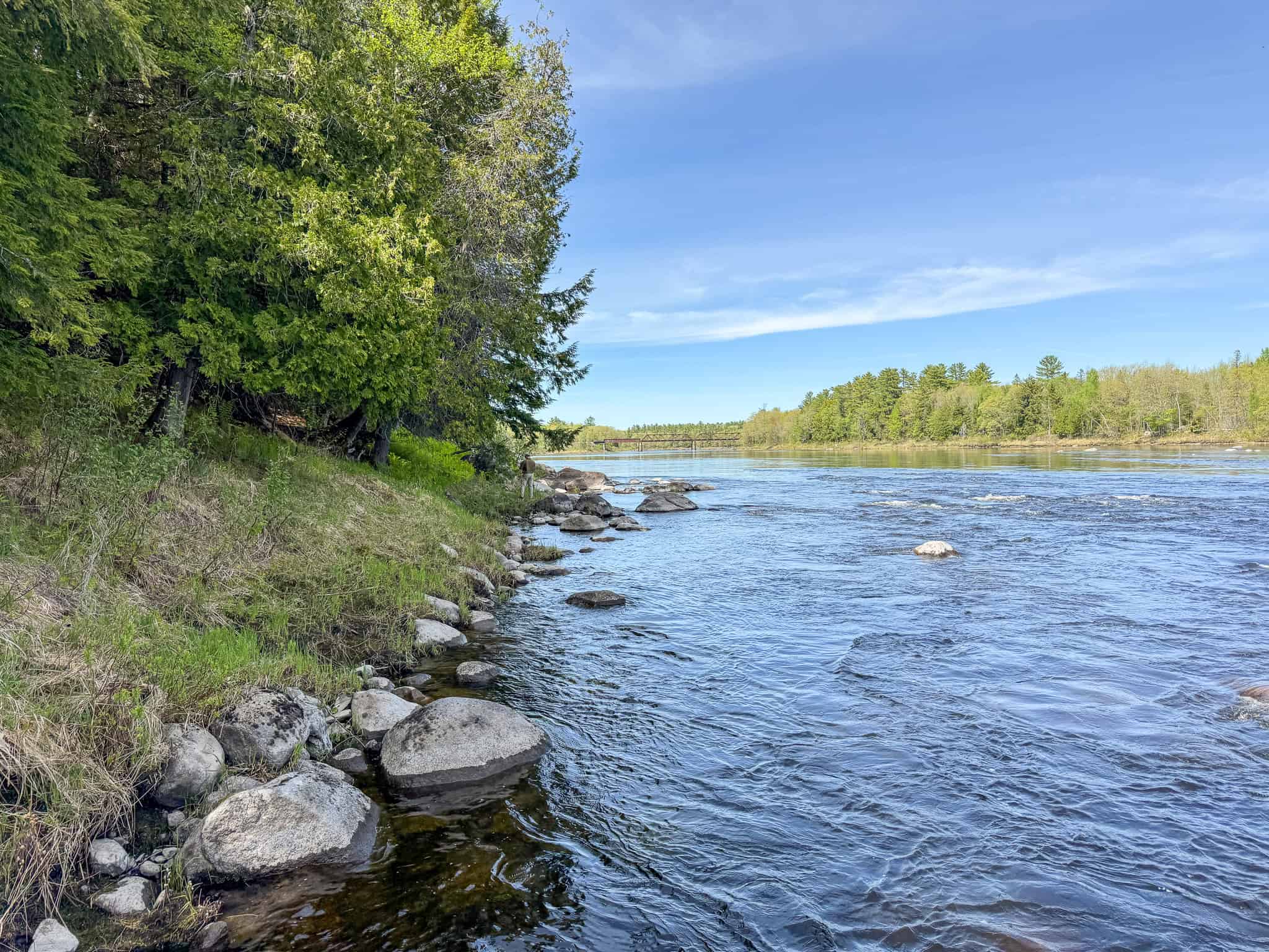 Maine River Property – 40.18 Acres – Woodville