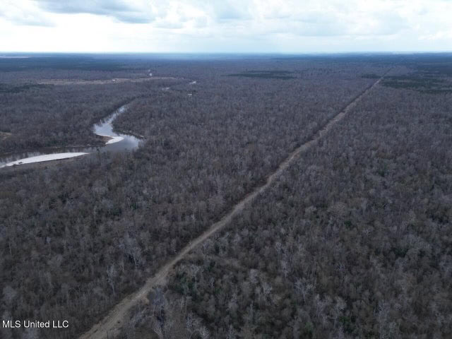 470 Acres on Calcasieu River in Allen Parish, LA