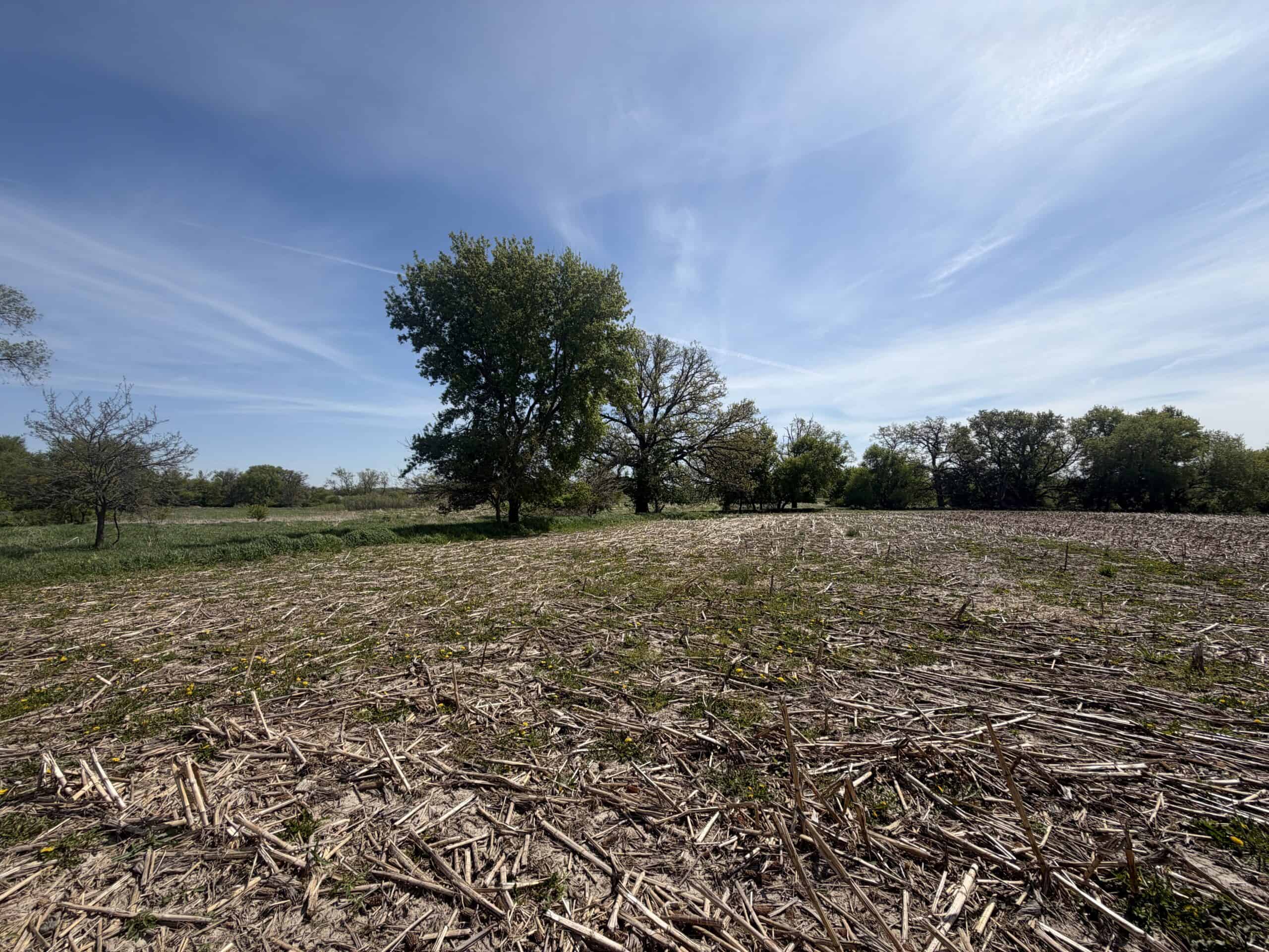 74 Acres in Dane County Town of York Rec, Hunting and Build Site for Sale